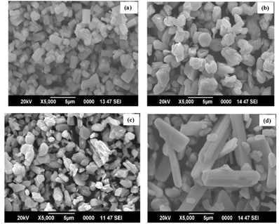 SEM image of MoO3 nanoparticles at different annealing temperatures (a) as-prepared, (b) 400 °C, (c) 500 °C and (d) 600 °C
