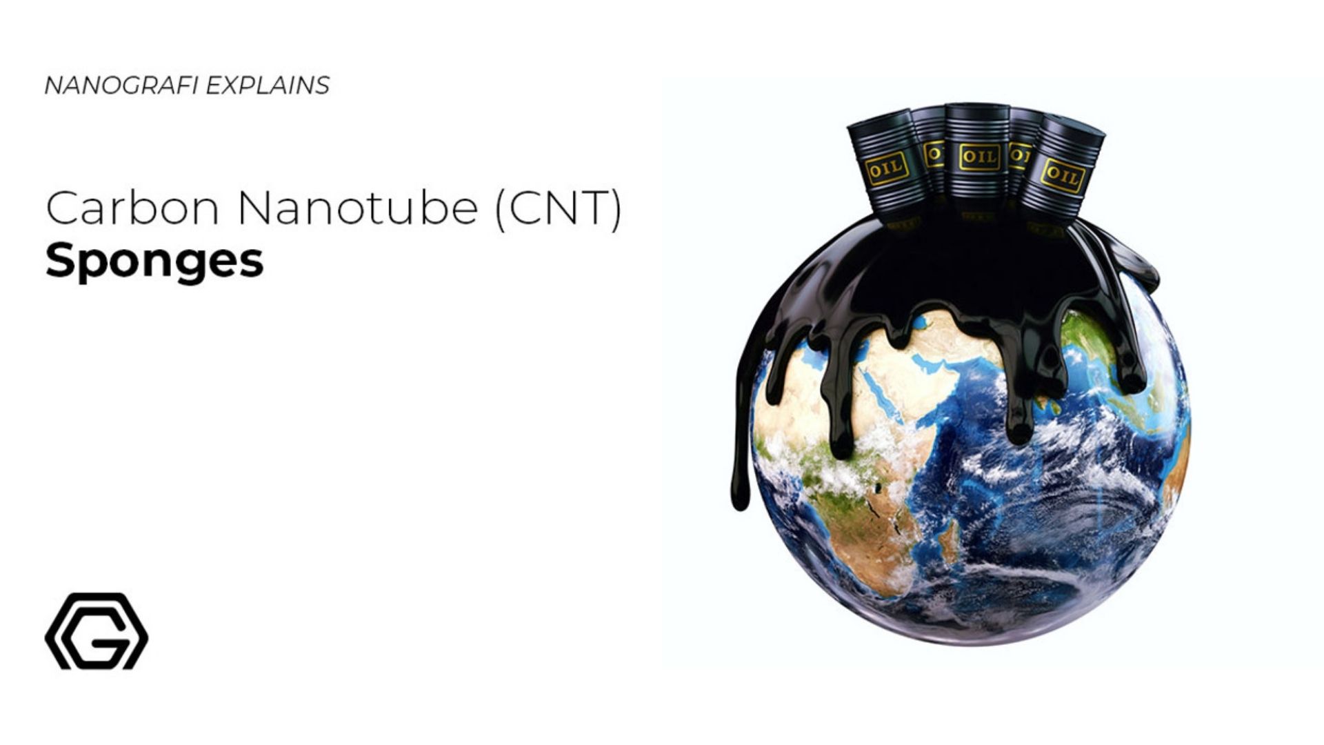 Carbon nanotube (CNT) sponges